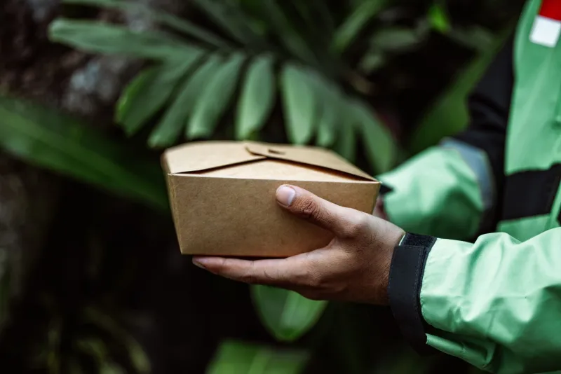 The Container of Good Intentions: A Full Investigation Into Leftovers You Were Never Going to Eat