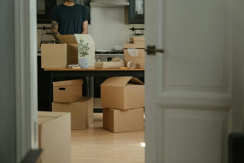The Package That Became Family: A Love Story About Cardboard and Commitment Issues