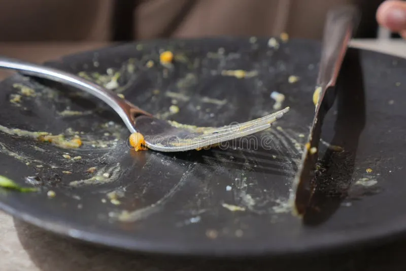 The Styrofoam Confession: Inside the Elaborate Shame of Asking for a To-Go Box
